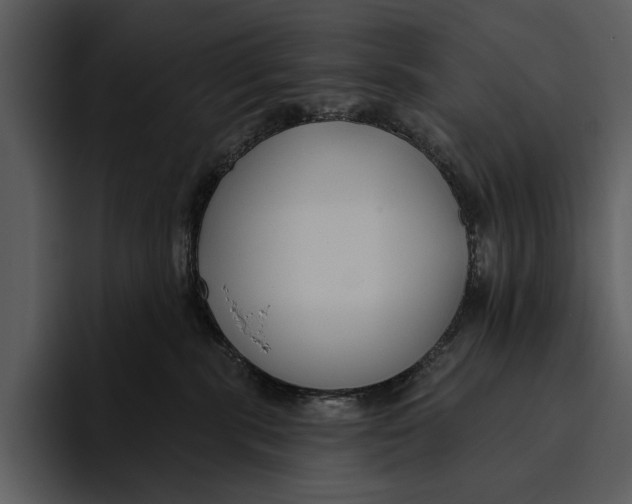 X0000095680283200801291203