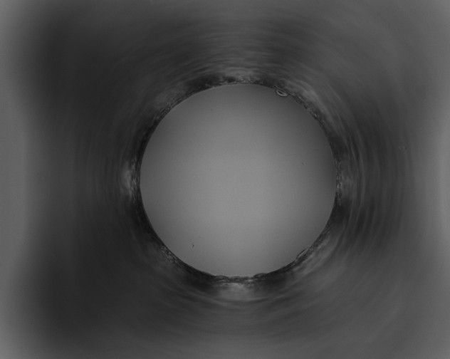 X0000095680285200801291203