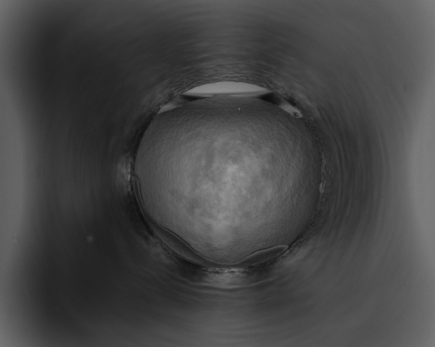 X0000095680288200801291203