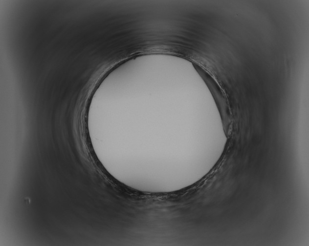 X0000095680289200801291203