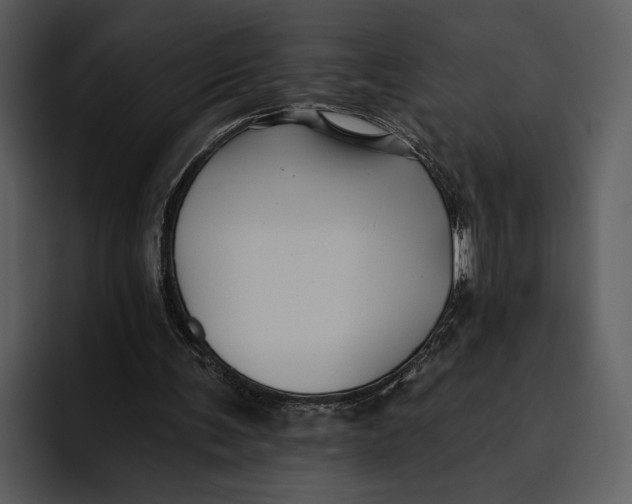 X0000095680291200801291203