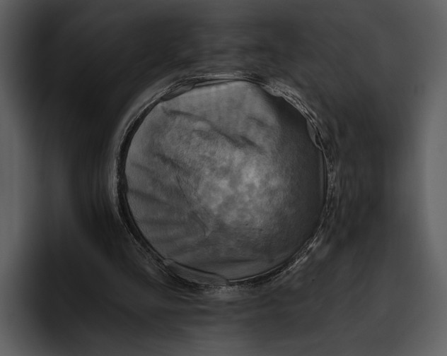 X0000095680293200801291202