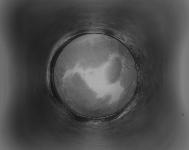 X0000095680294200801291202