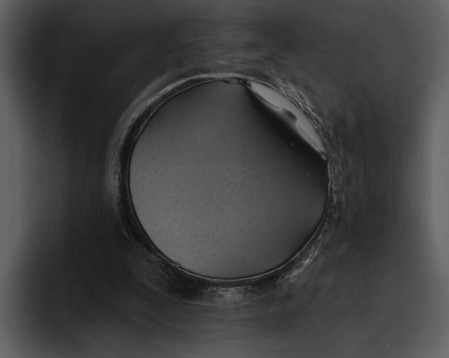 X0000095680295200801291202