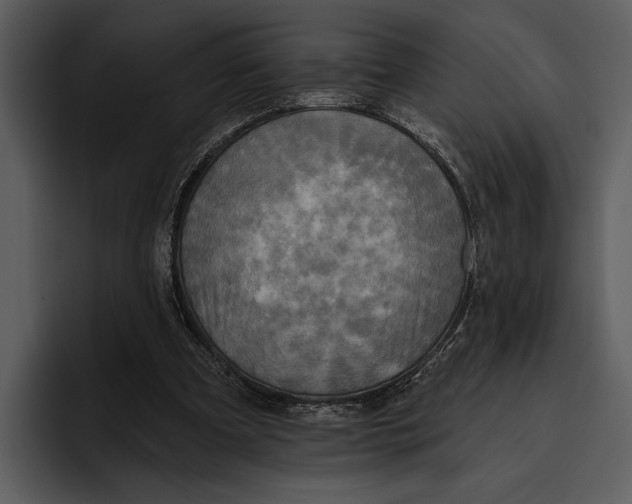 X0000095680297200801291202