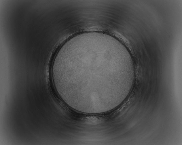 X0000095680298200801291202