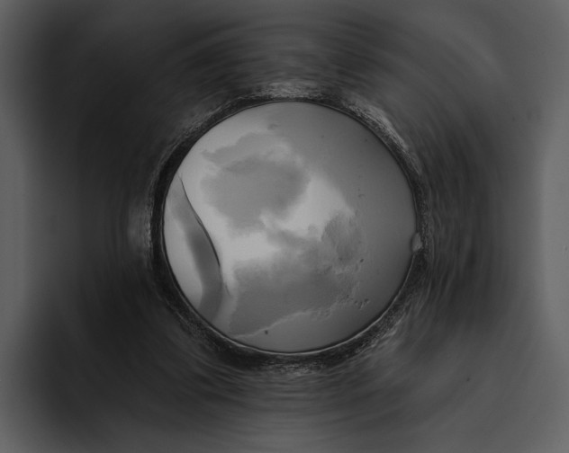 X0000095680299200801291202