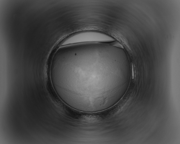 X0000095680300200801291202