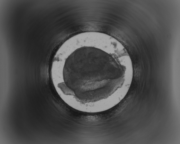 X0000095680302200801291202