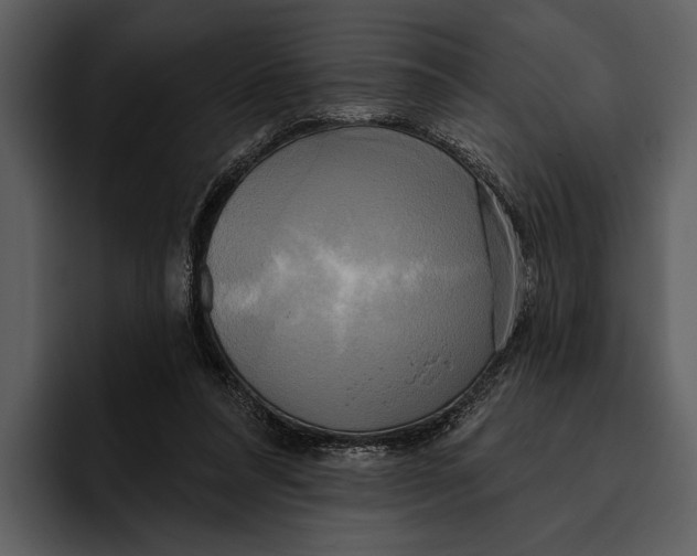 X0000095680304200801291202