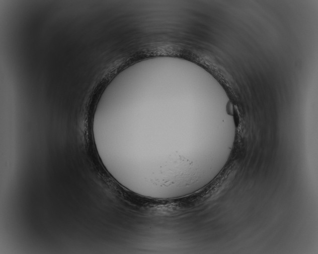 X0000095680306200801291202