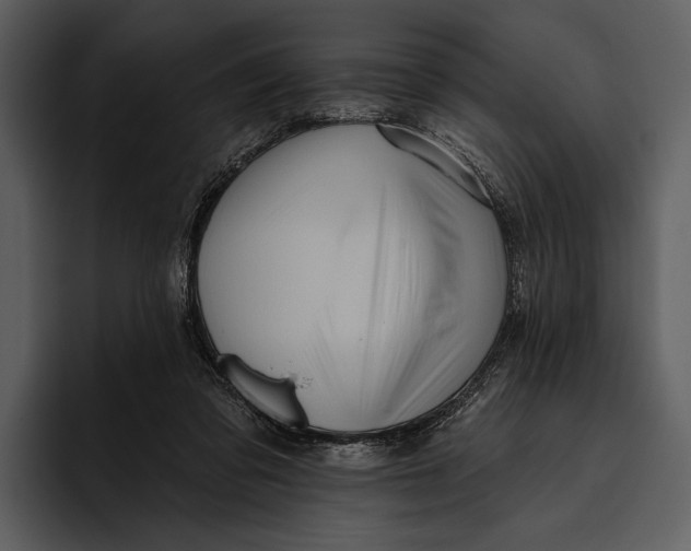 X0000095680309200801291202