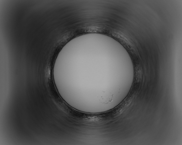 X0000095680310200801291202