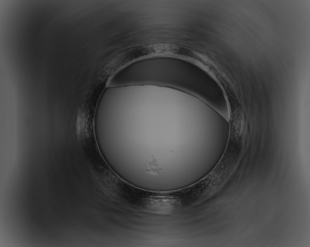 X0000095680316200801291202