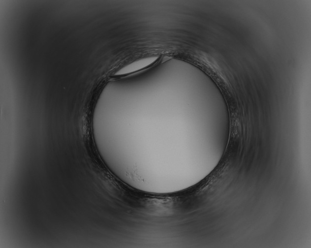 X0000095680317200801291202