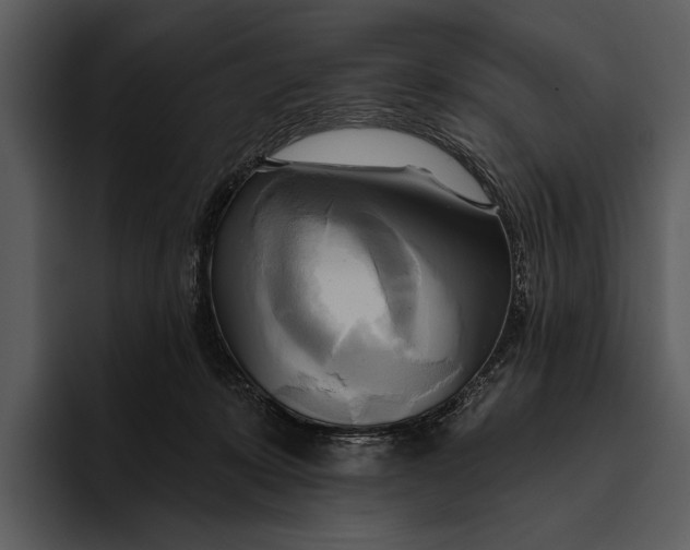 X0000095680319200801291202