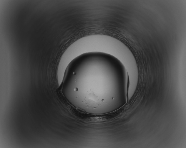 X0000095680320200801291202