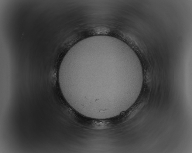 X0000095680321200801291202