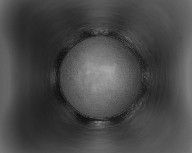 X0000095680323200801291202