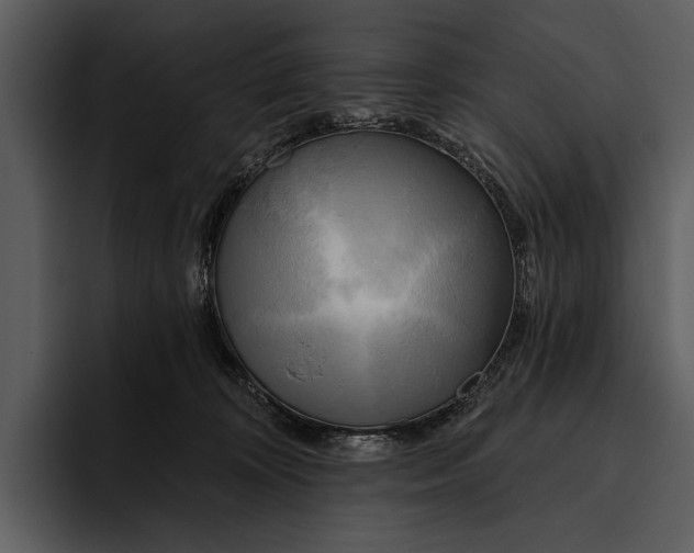 X0000095680324200801291202