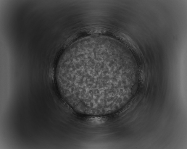 X0000095680326200801291202