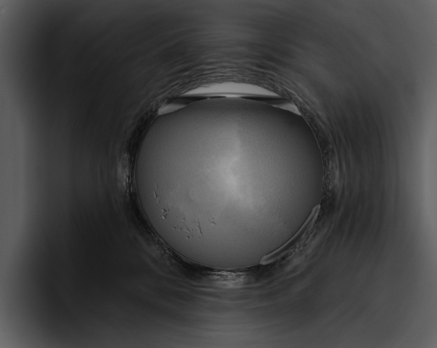 X0000095680328200801291202