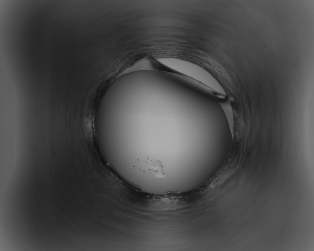 X0000095680329200801291202