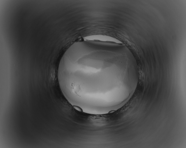 X0000095680331200801291202