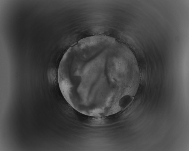 X0000095680335200801291202