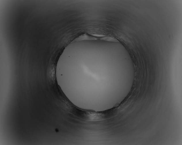 X0000095680336200801291202