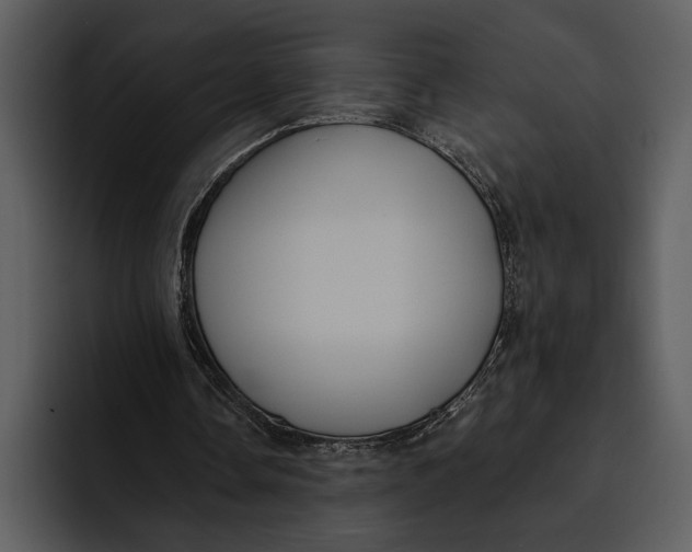 X0000095680338200801291201