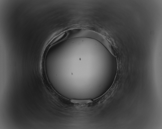 X0000095680340200801291201