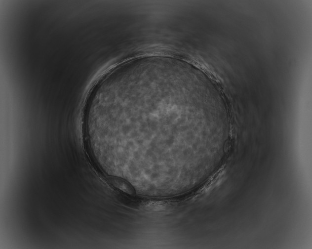 X0000095680341200801291201