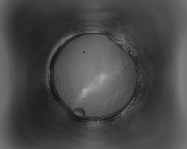 X0000095680342200801291201