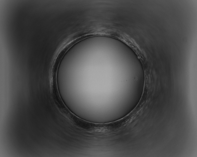 X0000095680344200801291201