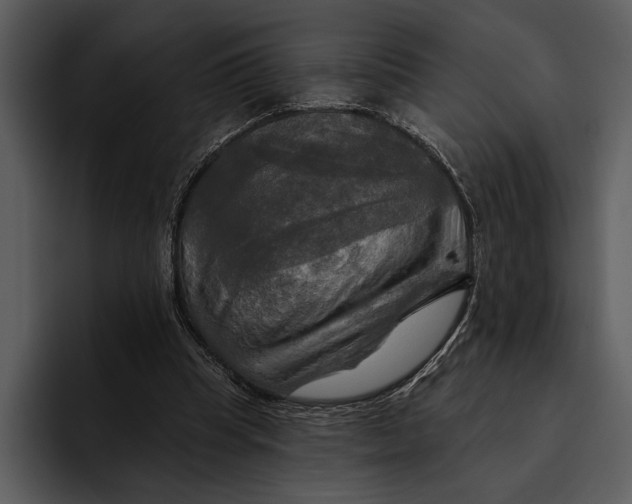 X0000095680345200801291201