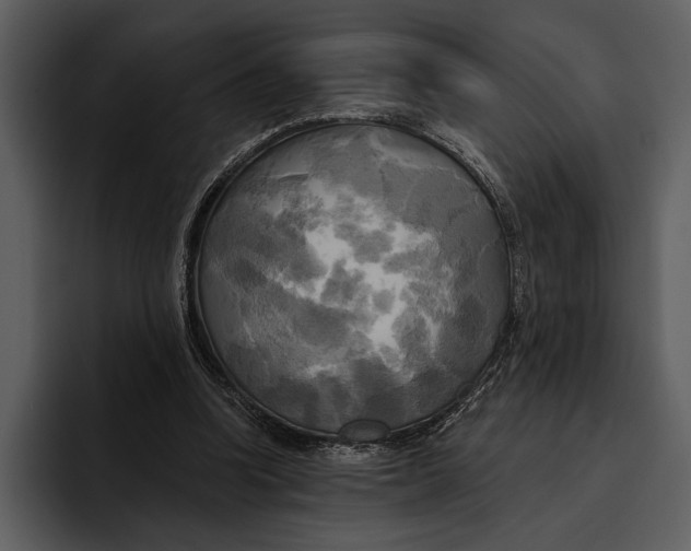 X0000095680346200801291201