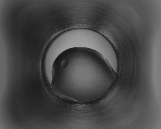 X0000095680348200801291201