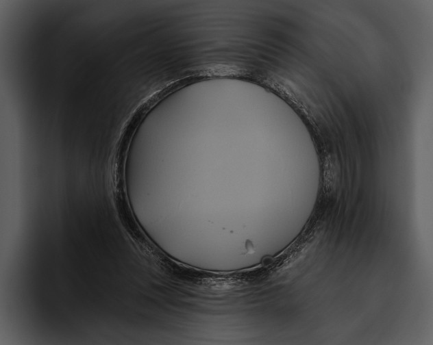 X0000095680351200801291202