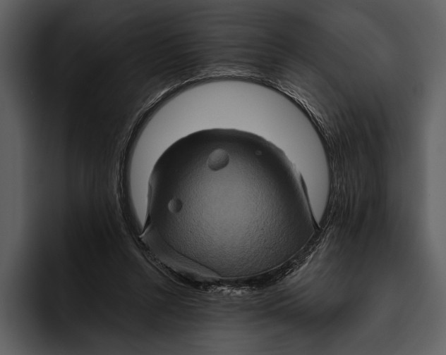 X0000095680352200801291202