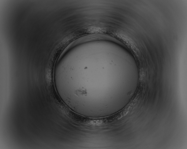 X0000095680353200801291202