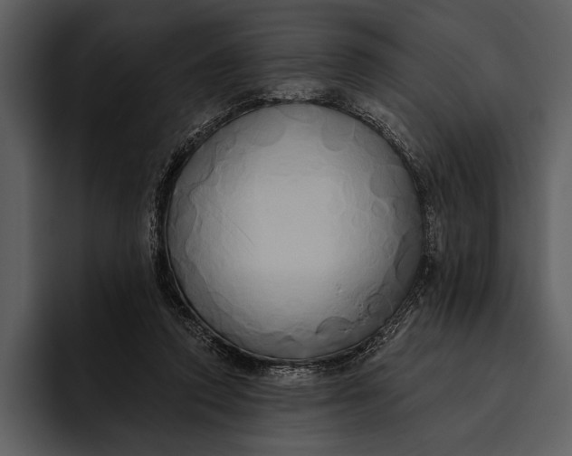 X0000095680354200801291202