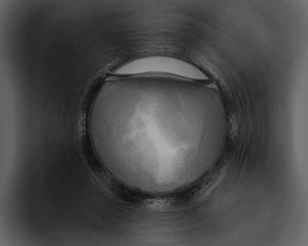 X0000095680356200801291202