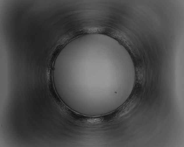 X0000095680357200801291202