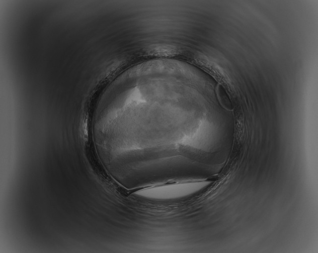 X0000095680358200801291202