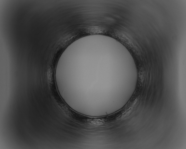 X0000095680359200801291202