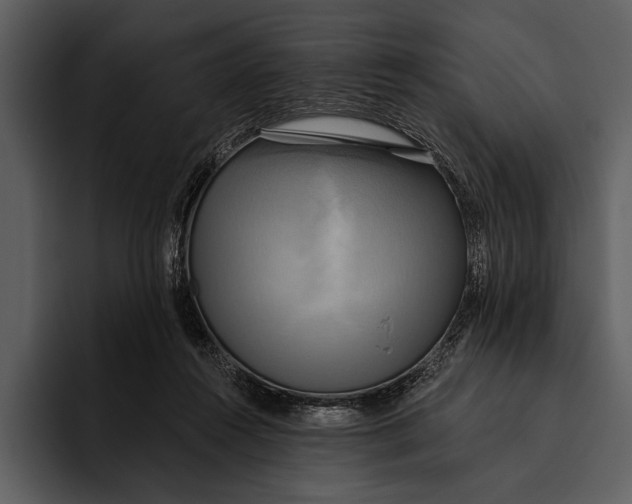 X0000095680360200801291202