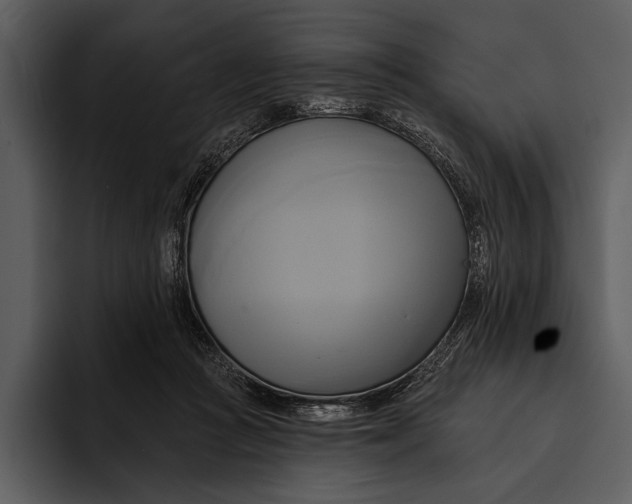 X0000095680361200801291202