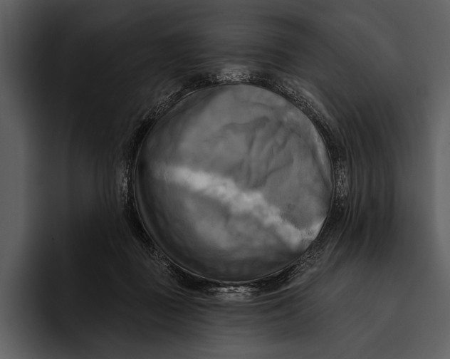 X0000095680363200801291202