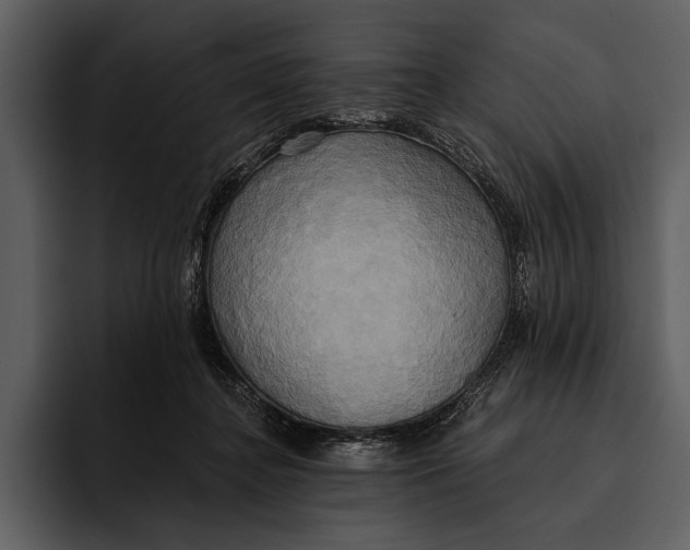 X0000095680364200801291202